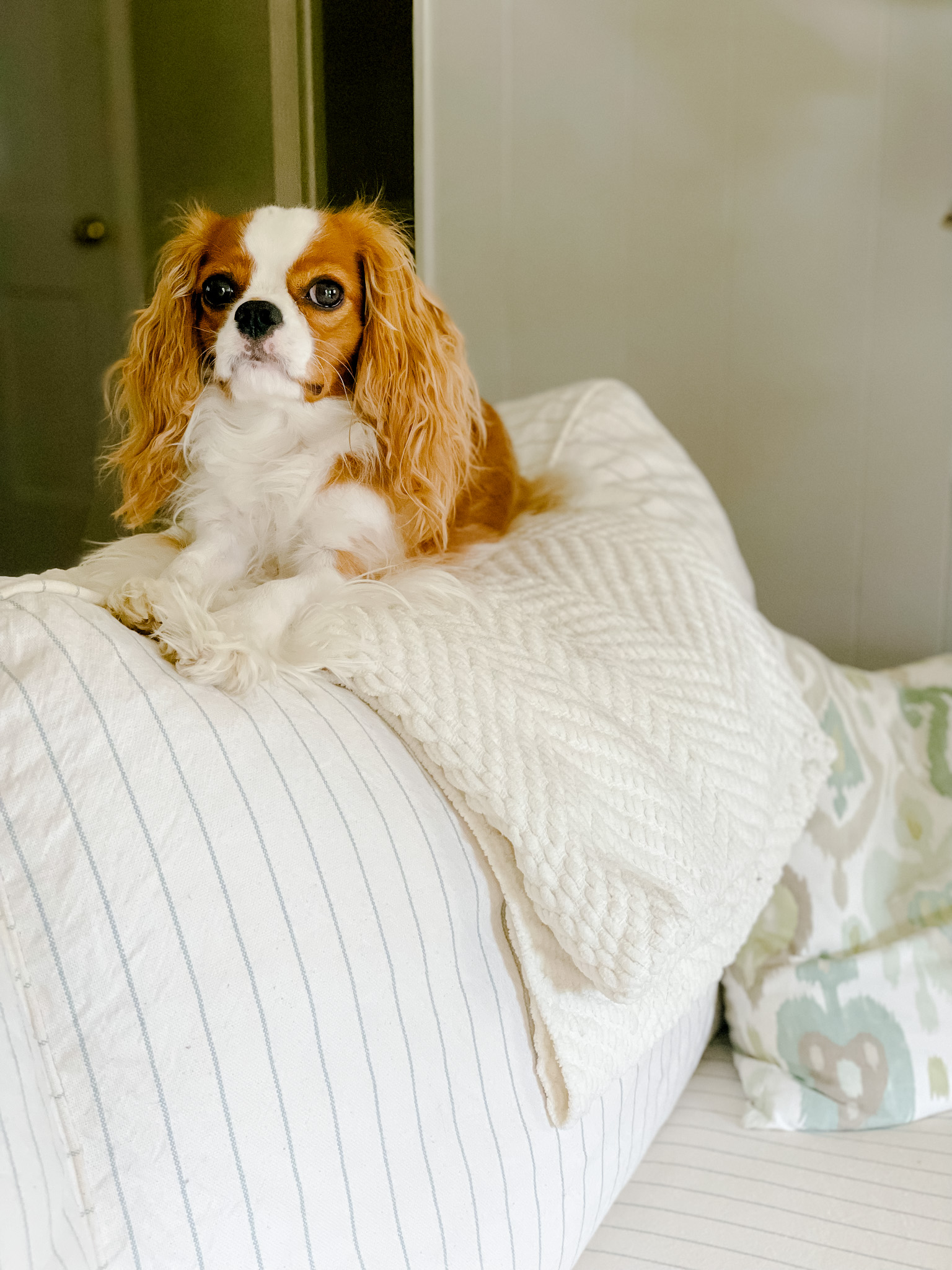 How to “Nancy Meyers” Your Home | Julia Ashley East